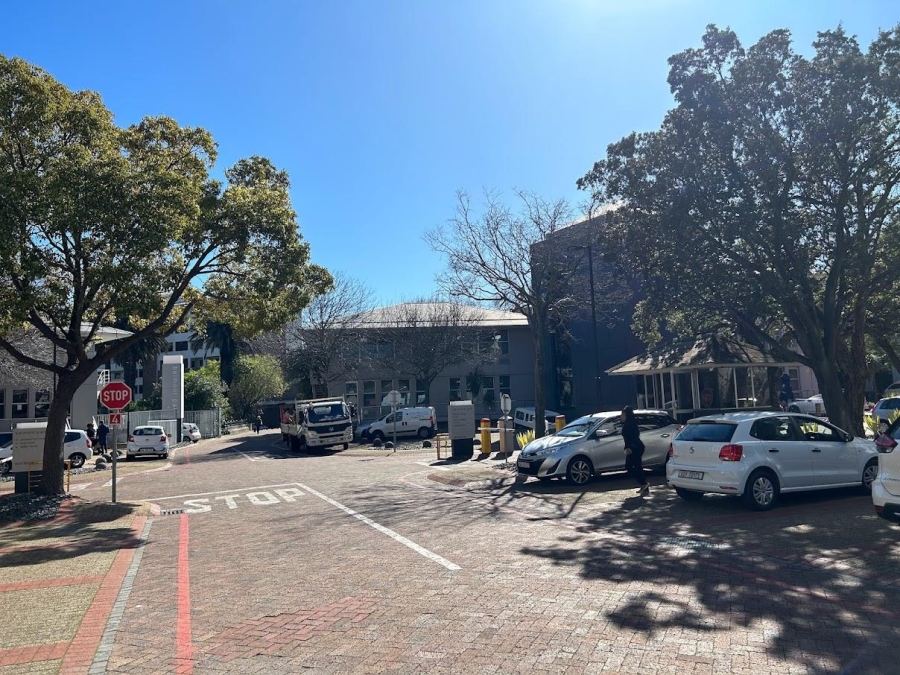 To Let commercial Property for Rent in Rondebosch Western Cape